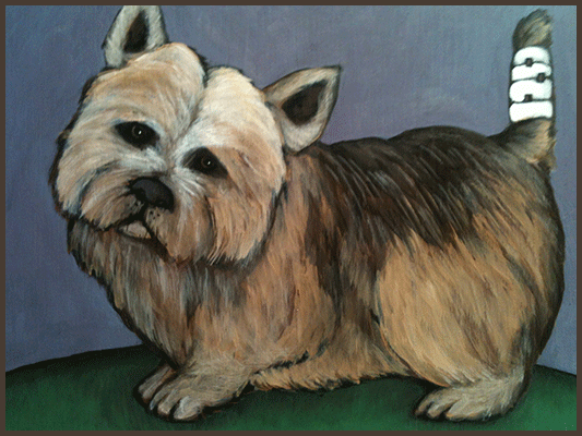 Painting by Lizzie of a puppy with a bandage on his tail.